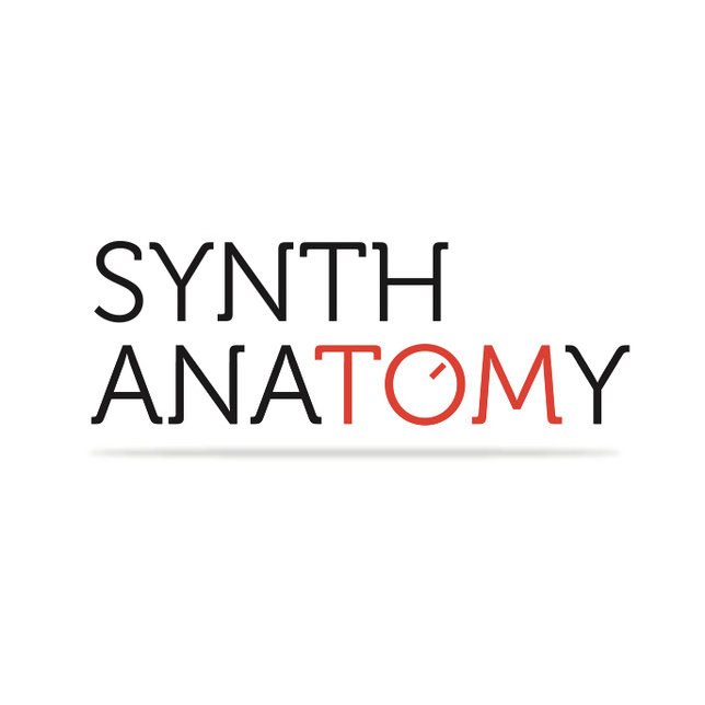 Synth Anatomy